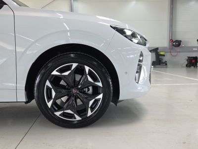 Cupra Terramar Gebrauchtwagen