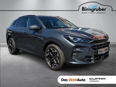 Cupra Terramar Gebrauchtwagen
