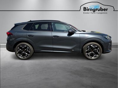 Cupra Terramar Gebrauchtwagen Cupra Terramar Gebrauchtwagen