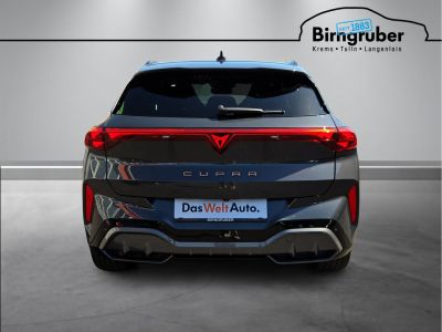 Cupra Terramar Gebrauchtwagen Cupra Terramar Gebrauchtwagen