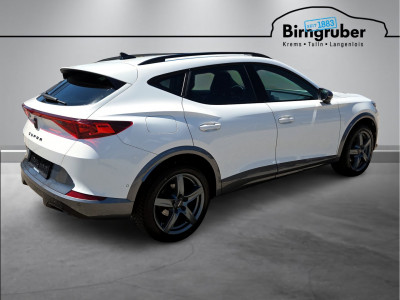Cupra Formentor Gebrauchtwagen