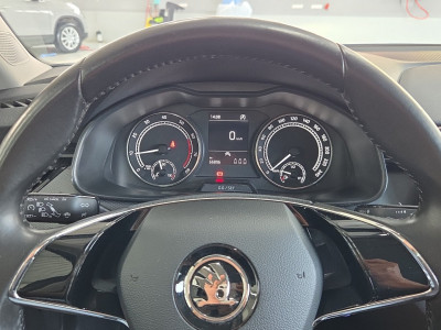Skoda Kamiq Gebrauchtwagen