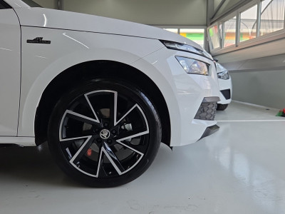 Skoda Kamiq Gebrauchtwagen