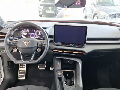 Cupra Terramar Gebrauchtwagen Cupra Terramar Gebrauchtwagen