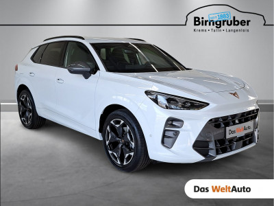 Cupra Terramar Gebrauchtwagen Cupra Terramar Gebrauchtwagen