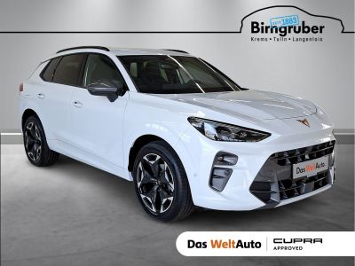 Cupra Terramar Gebrauchtwagen