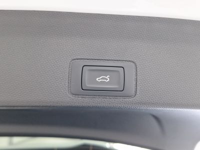 Cupra Terramar Gebrauchtwagen Cupra Terramar Gebrauchtwagen
