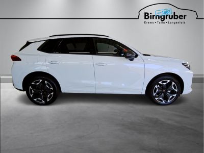 Cupra Terramar Gebrauchtwagen Cupra Terramar Gebrauchtwagen