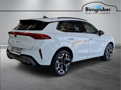 Cupra Terramar Gebrauchtwagen Cupra Terramar Gebrauchtwagen