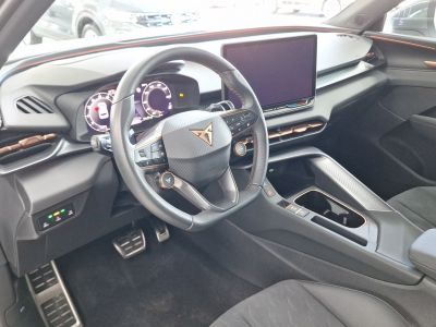 Cupra Terramar Gebrauchtwagen Cupra Terramar Gebrauchtwagen