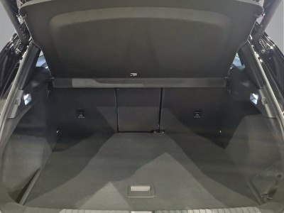 Cupra Terramar Gebrauchtwagen Cupra Terramar Gebrauchtwagen