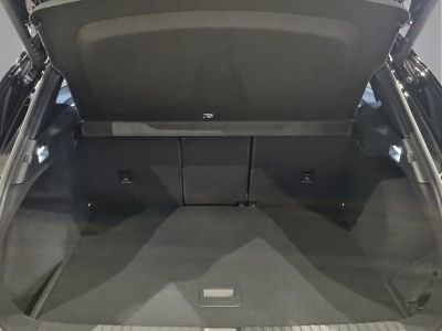 Cupra Terramar Gebrauchtwagen Cupra Terramar Gebrauchtwagen