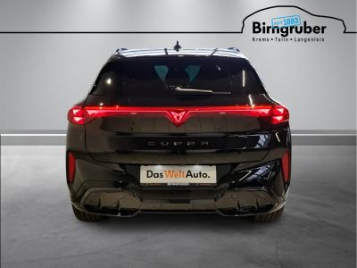 Cupra Terramar Gebrauchtwagen Cupra Terramar Gebrauchtwagen