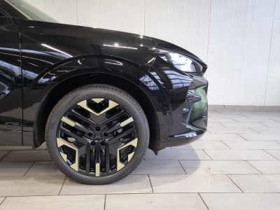 Cupra Terramar Gebrauchtwagen Cupra Terramar Gebrauchtwagen