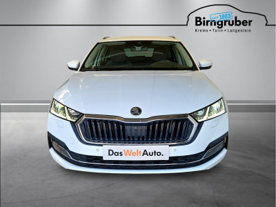 Skoda Octavia Gebrauchtwagen