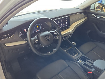 Skoda Octavia Gebrauchtwagen