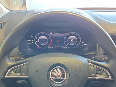 Skoda Karoq Gebrauchtwagen