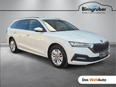 Skoda Octavia Gebrauchtwagen