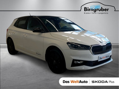 Skoda Fabia Gebrauchtwagen Skoda Fabia Gebrauchtwagen