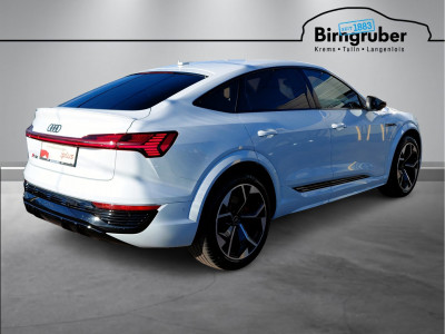 Audi Q8 Gebrauchtwagen Audi Q8 Gebrauchtwagen