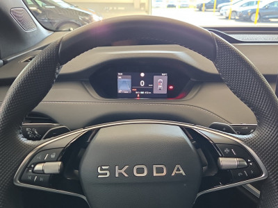 Skoda Enyaq Gebrauchtwagen Skoda Enyaq Gebrauchtwagen