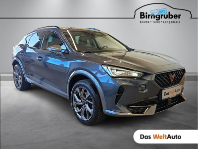 Cupra Formentor Gebrauchtwagen Cupra Formentor Gebrauchtwagen
