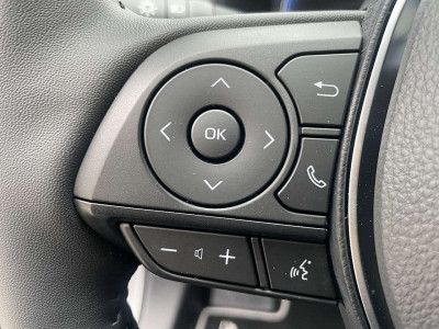 Toyota RAV4 Gebrauchtwagen