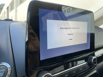 Ford EcoSport Gebrauchtwagen