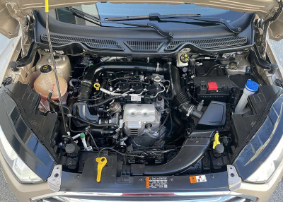 Ford EcoSport Gebrauchtwagen