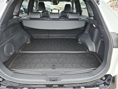 Toyota RAV4 Vorführwagen