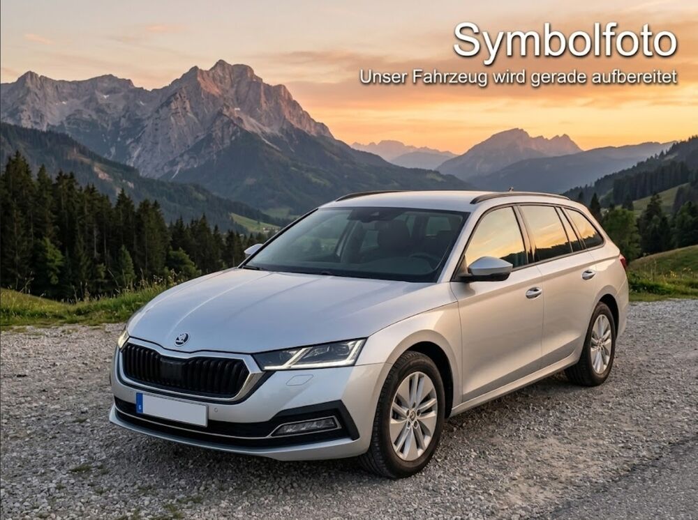 Skoda Octavia Gebrauchtwagen