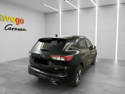 Ford Kuga Gebrauchtwagen