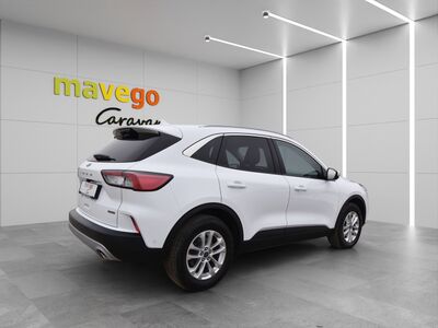 Ford Kuga Gebrauchtwagen