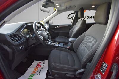 Ford Kuga Gebrauchtwagen