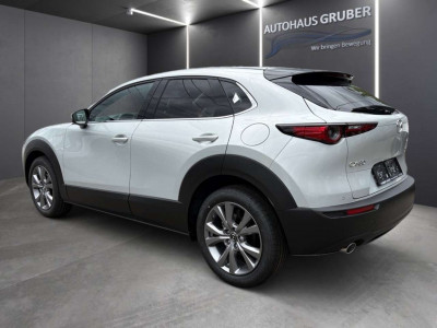 Mazda CX-30 Neuwagen Mazda CX-30 Neuwagen