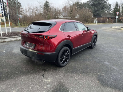 Mazda CX-30 Vorführwagen Mazda CX-30 Vorführwagen