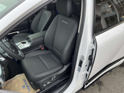 Hyundai Ioniq 9 Vorführwagen