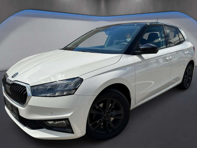 Skoda Fabia Gebrauchtwagen Skoda Fabia Gebrauchtwagen