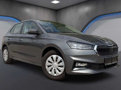 Skoda Fabia Gebrauchtwagen Skoda Fabia Gebrauchtwagen