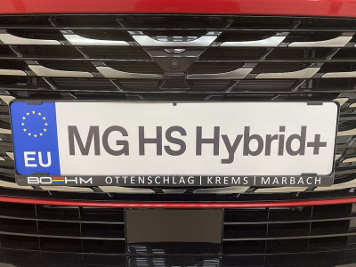 MG HS Tageszulassung MG HS Tageszulassung