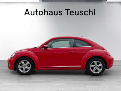 VW Beetle Gebrauchtwagen