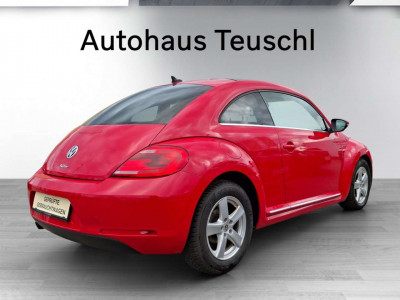 VW Beetle Gebrauchtwagen