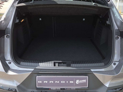 Mitsubishi Grandis Neuwagen