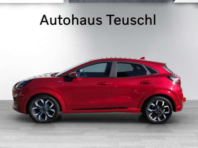Ford Puma Gebrauchtwagen