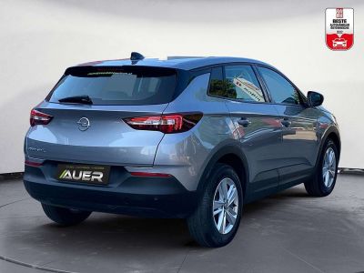 Opel Grandland X Gebrauchtwagen