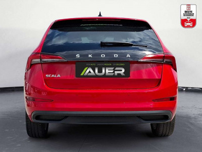 Skoda Scala Gebrauchtwagen