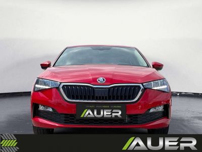 Skoda Scala Gebrauchtwagen