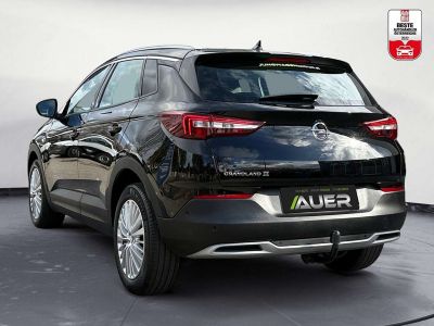 Opel Grandland X Gebrauchtwagen