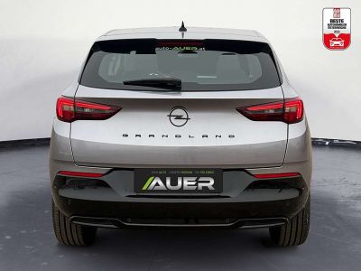 Opel Grandland Gebrauchtwagen Opel Grandland Gebrauchtwagen