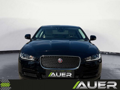 Jaguar XE Gebrauchtwagen